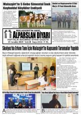 ALPARSLAN DİYARI