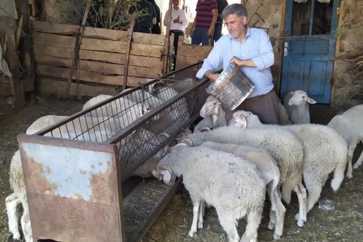 Bursa Büyükşehir’in aşı ve yem desteği başvuruları başladı