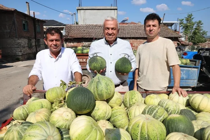 Bursa’nın ünlü Konaklı kavununda üretim iki kat arttı