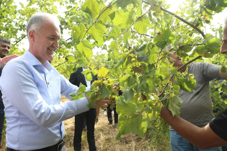 İnegöl tarımda güçleniyor: Fındığının %1’i bu topraklardan
