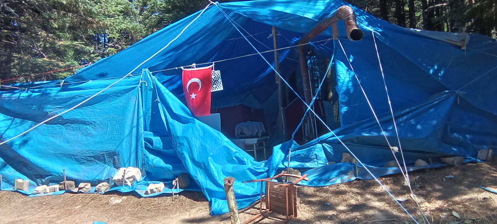 Uludağ’da ayılar kamp çadırını parçaladı