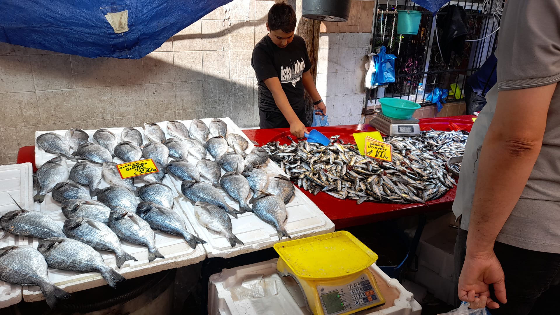 Balık tezgahları şenlendi