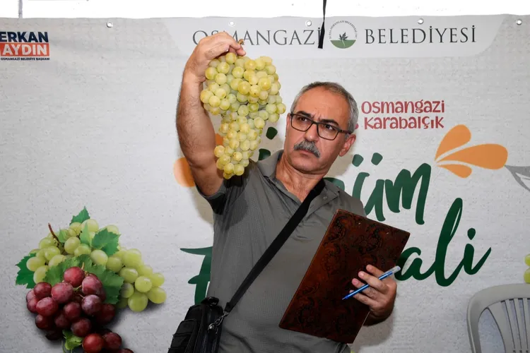 Osmangazi’de ‘Üzüm Festivali’ coşkusu: En lezzetli üzümler yarıştı
