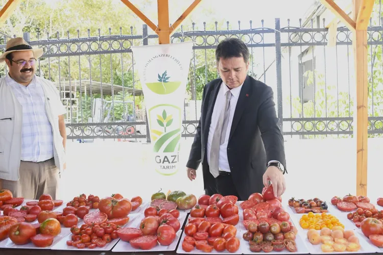 Osmangazi’den organik tarıma destek: Ata tohumlarıyla üretim sürüyor