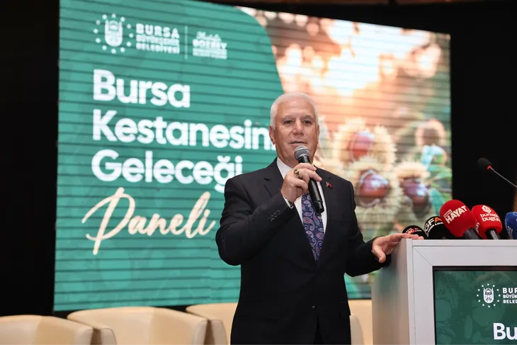 Bursa kestanesine Büyükşehir’den destek