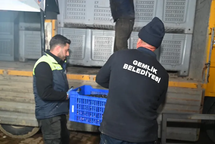 Gemlik’ten zeytinciye büyük destek