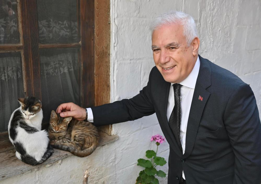 Bursa Büyükşehir Belediyesi patili dostların yanında