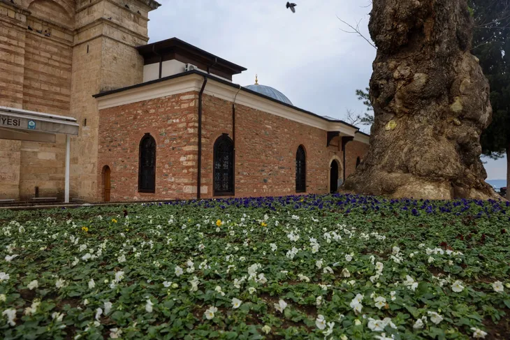 Bursa kışın da çiçek bahçesine dönüşüyor